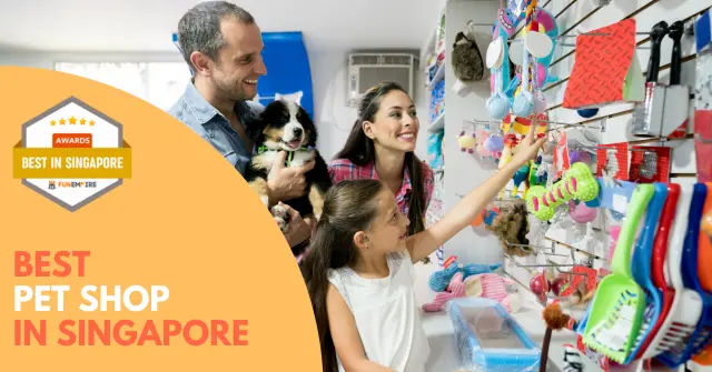 Best pet shop near me online
